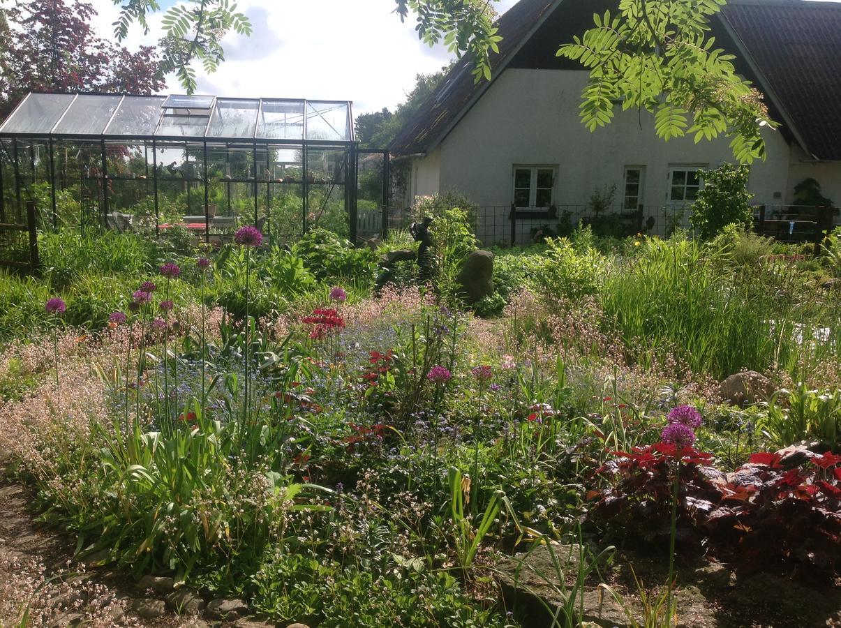 Bed And Breakfast - Stakdelen 47 Allerup Eksteriør bilde