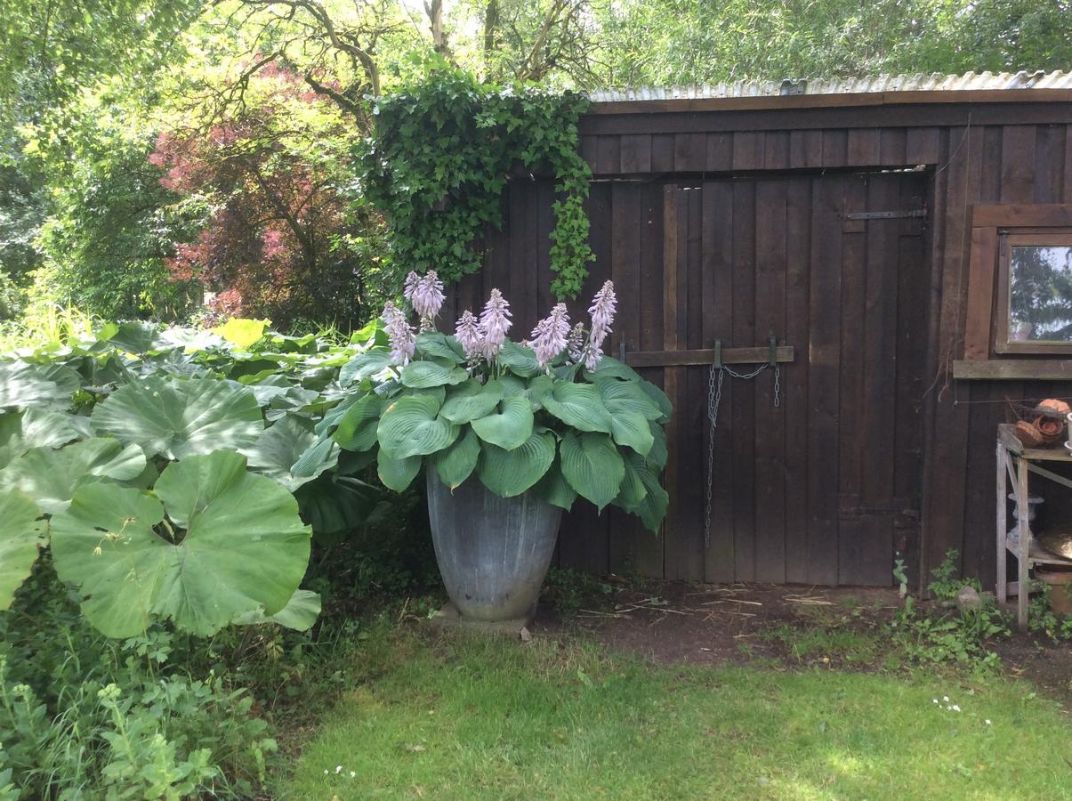 Bed And Breakfast - Stakdelen 47 Allerup Eksteriør bilde