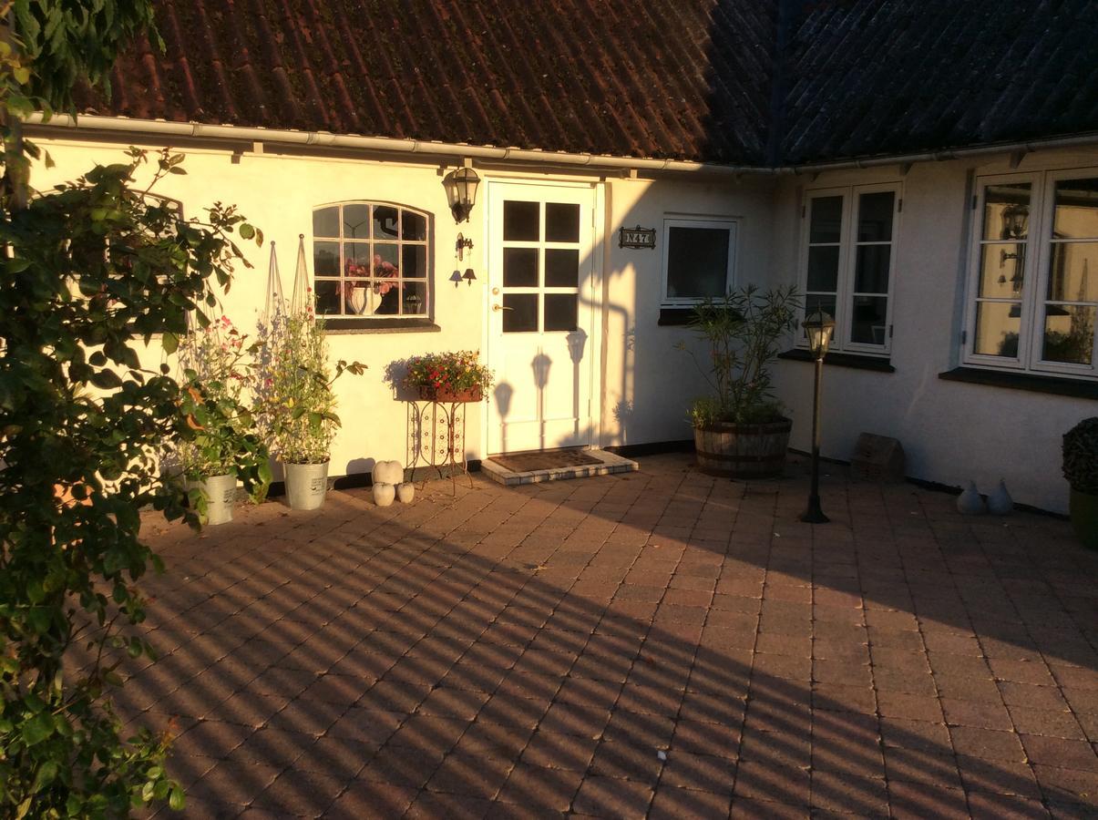 Bed And Breakfast - Stakdelen 47 Allerup Eksteriør bilde